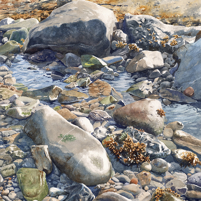 « MARÉE BASSE »