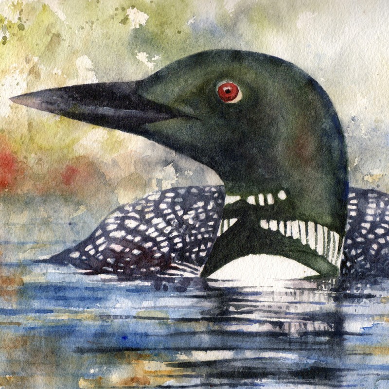 « À FLEUR D'EAU »